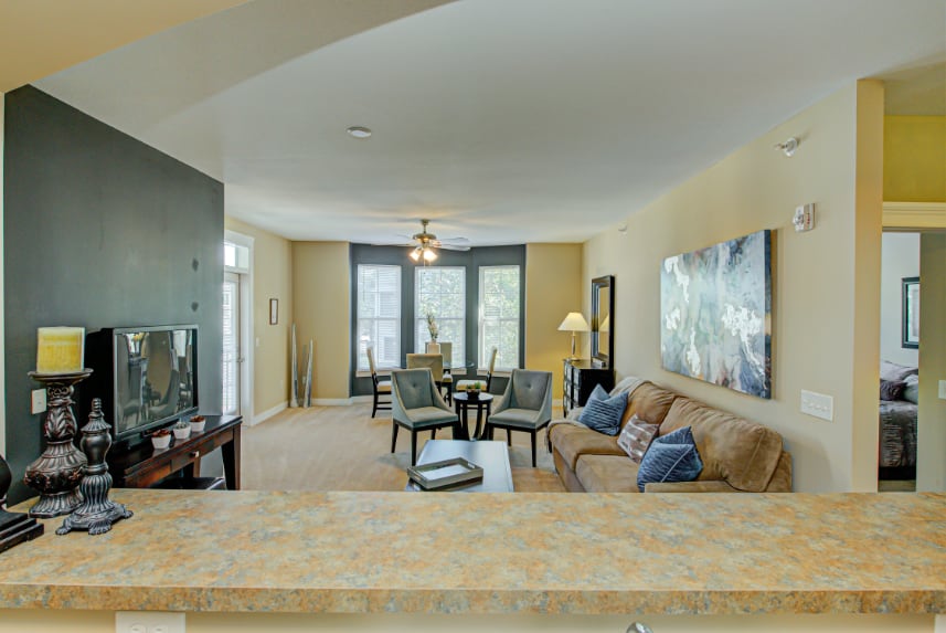 Living room in Bloomington apartment